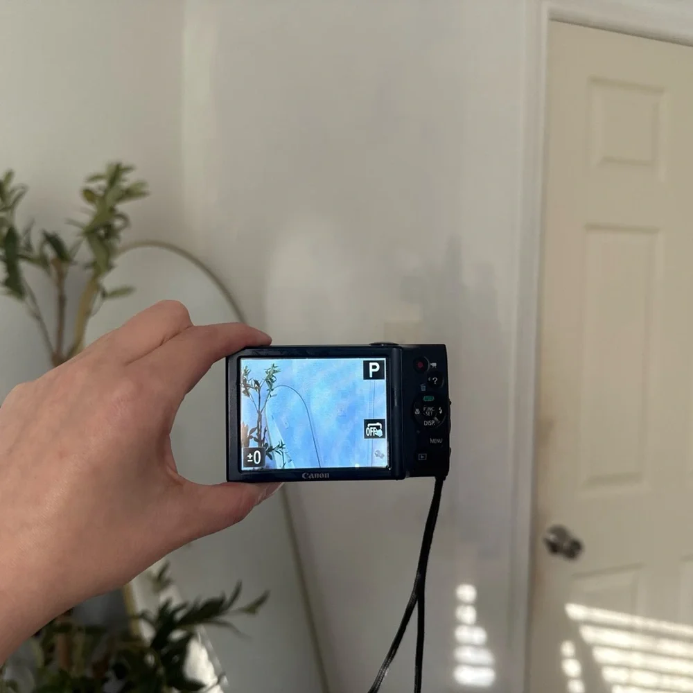 Canon sleek camera